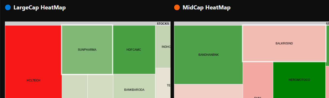 Large & Midcap Heatmaps